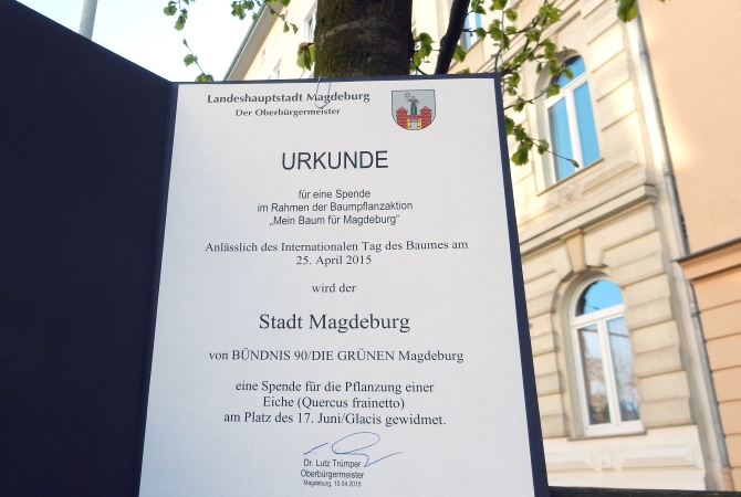 Die Baumspende Urkunde an einem von Bürgern gespendeten Baum in der Otto-von-Guericke-Str.