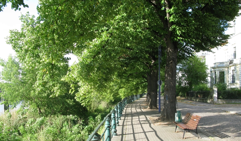 Blick in die Zollstraße an den Linden entlang.