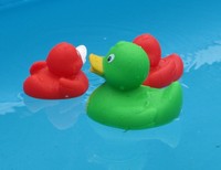 Rot-grüne Enten im Pool.