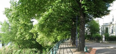 Blick in die Zollstraße an den Linden entlang.