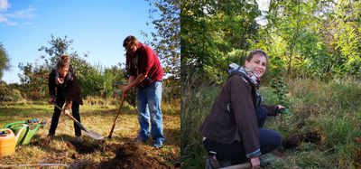 Zwei Bilder. Linkes Bild vorbereiten der Pflanzgrube, rechtes Bild Frau vor jungem Baum.