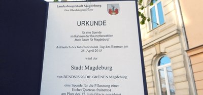 Die Baumspende Urkunde an einem von Bürgern gespendeten Baum in der Otto-von-Guericke-Str.
