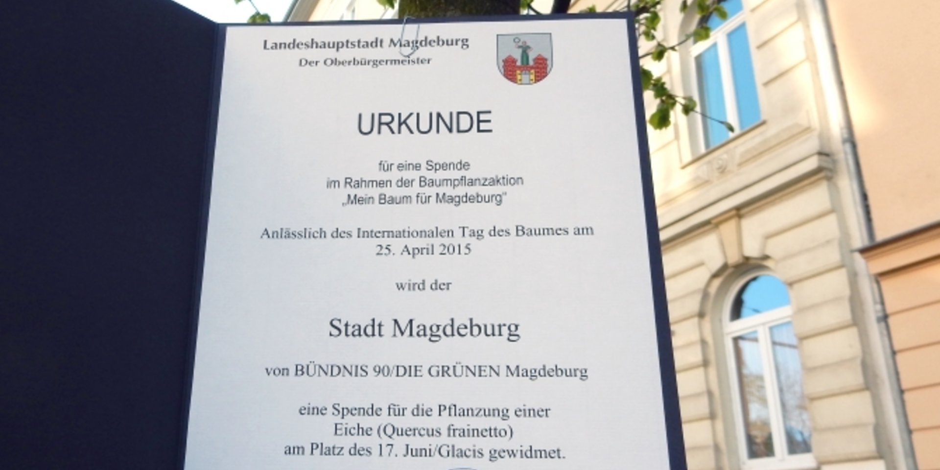 Die Baumspende Urkunde an einem von Bürgern gespendeten Baum in der Otto-von-Guericke-Str.