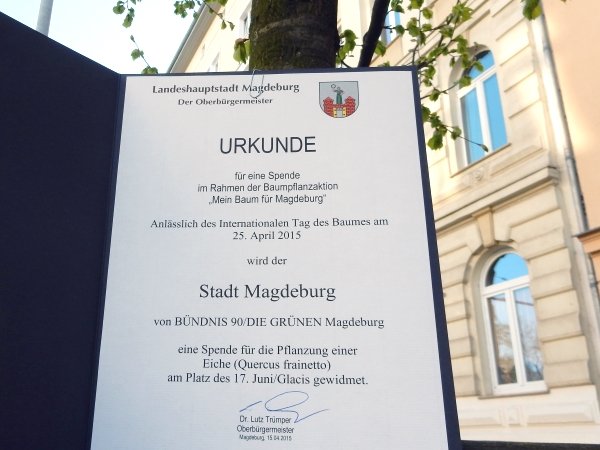 Die Baumspende Urkunde an einem von Bürgern gespendeten Baum in der Otto-von-Guericke-Str.