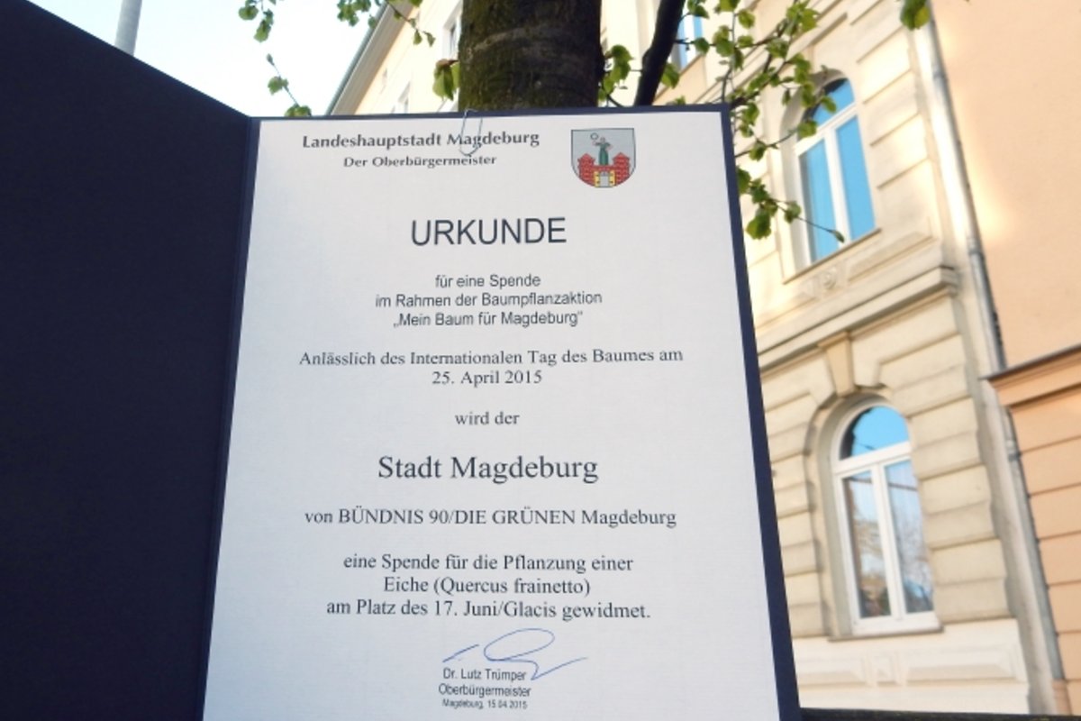 Die Baumspende Urkunde an einem von Bürgern gespendeten Baum in der Otto-von-Guericke-Str.