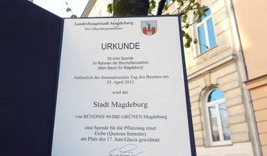 Die Baumspende Urkunde an einem von Bürgern gespendeten Baum in der Otto-von-Guericke-Str.