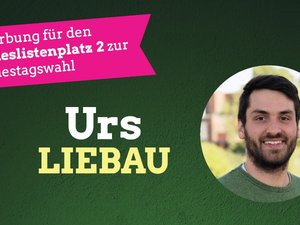 Bild Bewerbung Urs Liebau Landesliste Bundestagswahl.