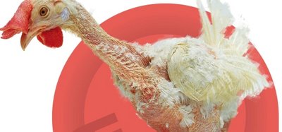 Aufruf zur Demo am 22.01.11, 12:00 Berlin Hbf., Nein zu Gentechnik, Tierfabriken und Dumping-Exporten!