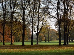 Im Rotehornpark (Foto privat)