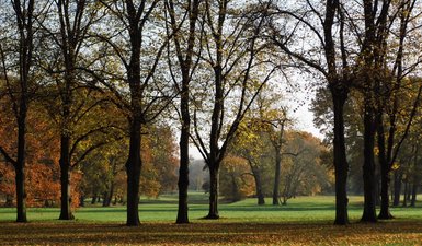 Im Rotehornpark (Foto privat)