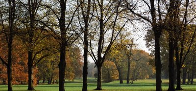Im Rotehornpark (Foto privat)