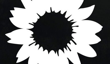 schwarz-weiße Sonnenblume
