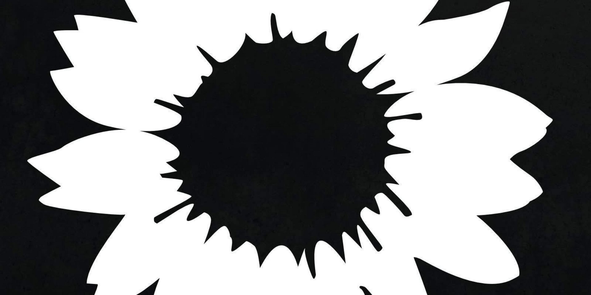 schwarz-weiße Sonnenblume