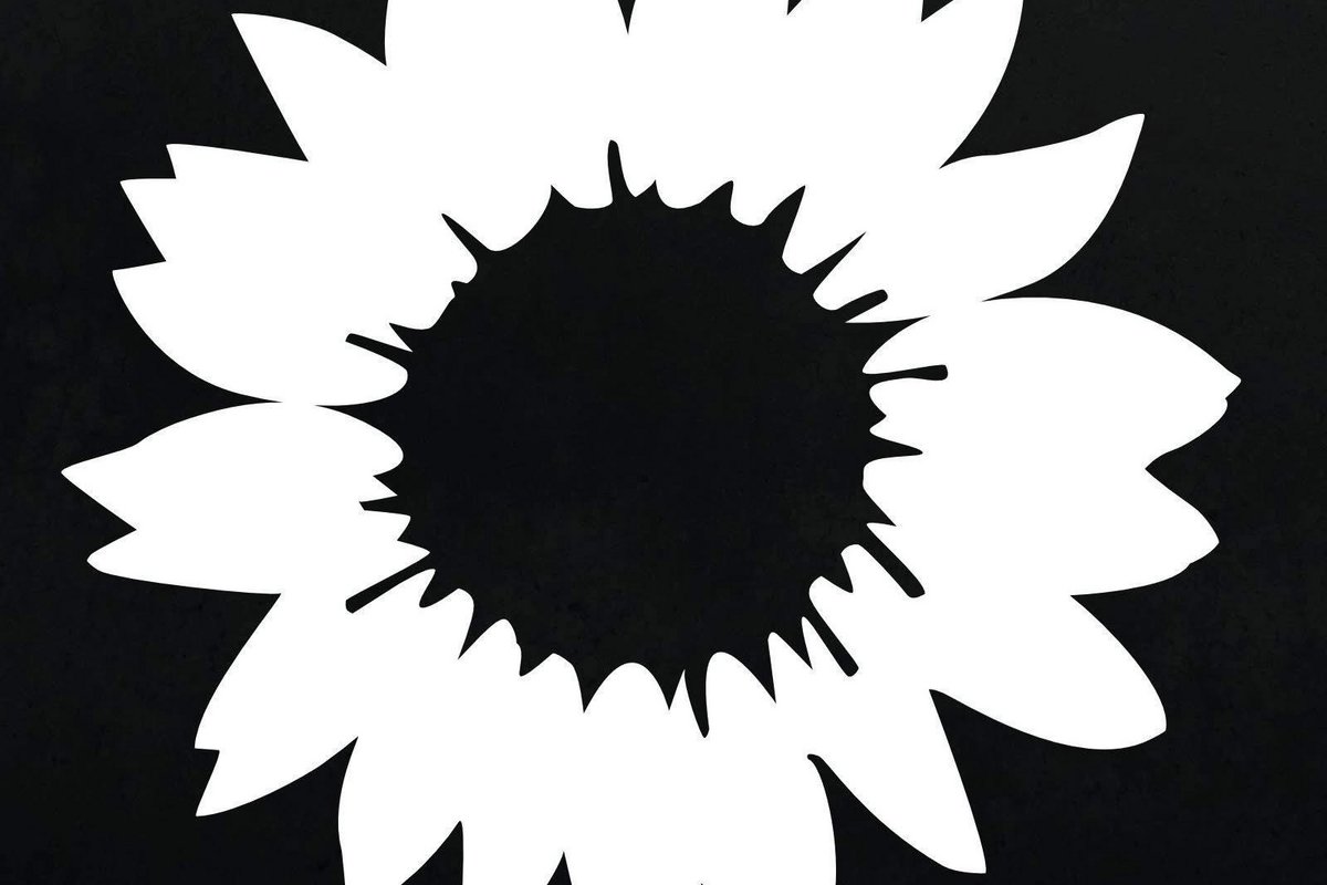 schwarz-weiße Sonnenblume