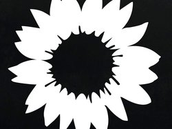 schwarz-weiße Sonnenblume