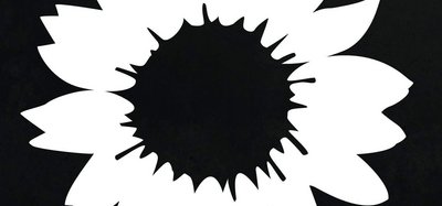 schwarz-weiße Sonnenblume