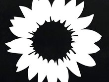 schwarz-weiße Sonnenblume