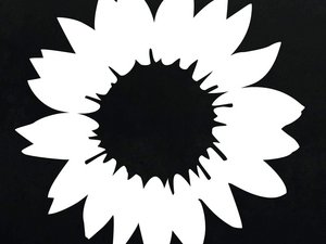 schwarz-weiße Sonnenblume