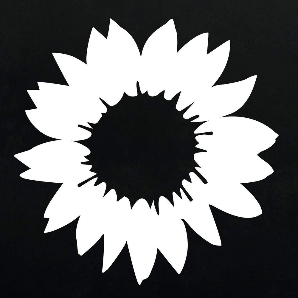 schwarz-weiße Sonnenblume