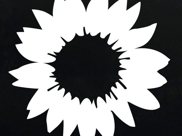 schwarz-weiße Sonnenblume