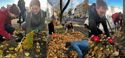 Grüne Mitglieder beim Frühblüher pflanzen in Sudenburg