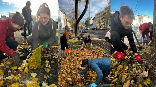 Grüne Mitglieder beim Frühblüher pflanzen in Sudenburg Grüne Mitglieder beim Frühblüher pflanzen in Sudenburg