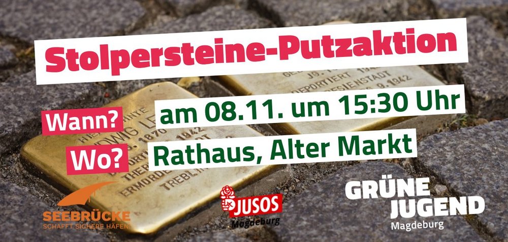 Stolpersteinputzaktion GRÜNE Jugend Magdeburg 2019