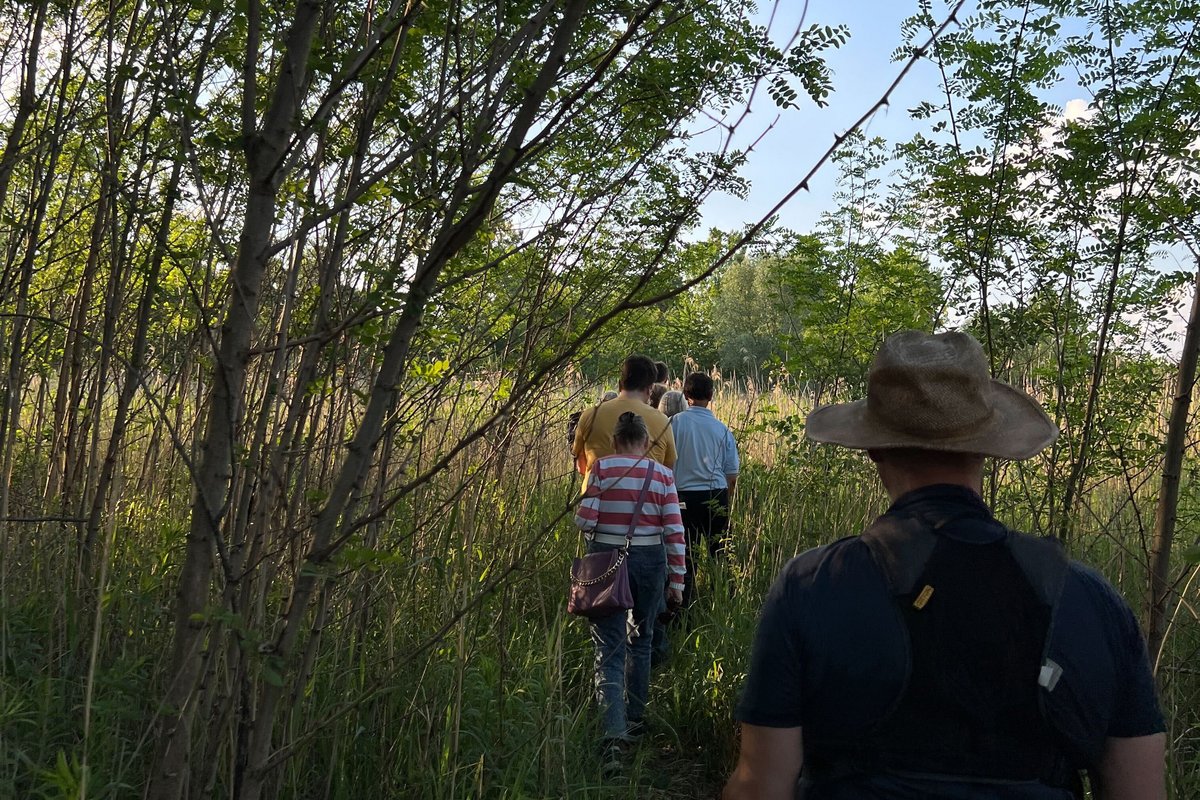 Die Wandergruppe läuft durch das Gestrüpp.
