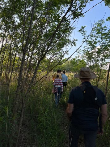 Die Wandergruppe läuft durch das Gestrüpp.