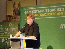 Jürgen Canehl am Redepult des Landesparteitages am 26. Sept. 2015.