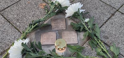 Geputze Stolpersteine von Marta Maria und Leo Stern sowie von Siegbert Hammelburger., geschmückt mit Bl