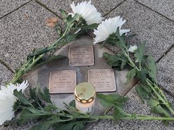 Geputze Stolpersteine von Marta Maria und Leo Stern sowie von Siegbert Hammelburger., geschmückt mit Bl